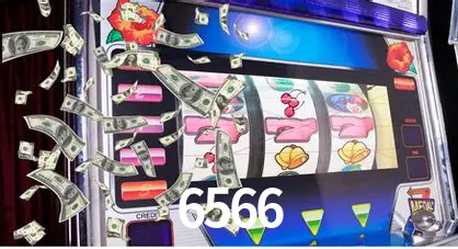 Flash Promotion 6566